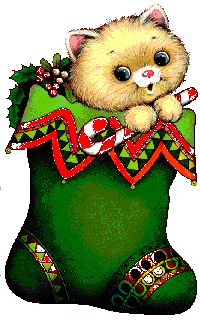 Christmas Kitty in Stocking