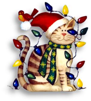 Christmas Lght Cat