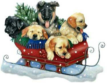 Christmas Pup Sled