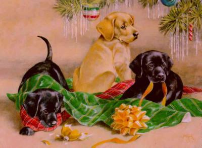 Christmas Puppies