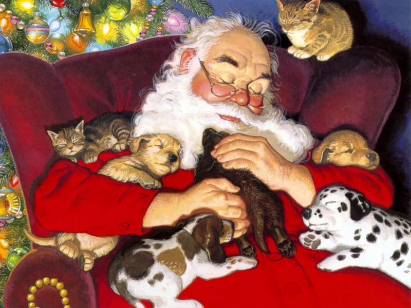 Christmas Santas Winter Nap
