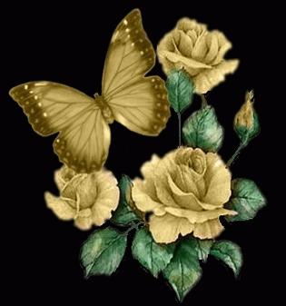 Yellow Roses Butterfly