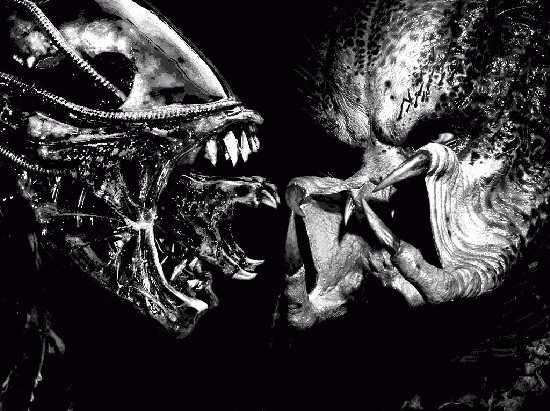 Alien Vs Predator Setup Image (photo) 1024 X 786