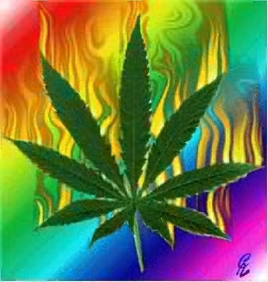 Female Marijuana Leaf (animated on Fire