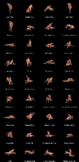 Porn the 32 Positions of Sex