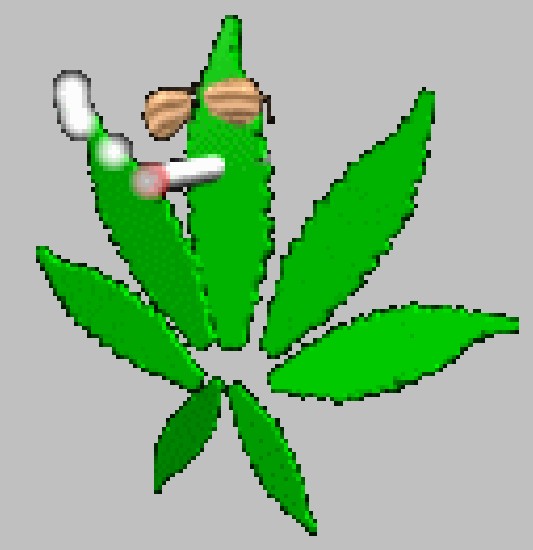 Smoking Leaf POT CHRONIC WEED Marijuana