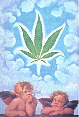 Pot Angels