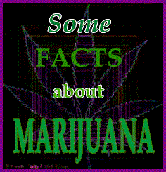 Potfacts