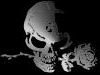 Rose Skull 2 100 X 75
