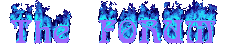 The FORUMFlam Banner
