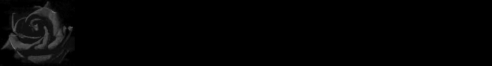 Blackrose Border